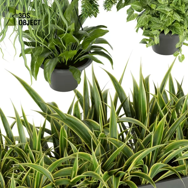 3d model plant hanging free Botanical Models Bush grass leaf interiordesign 3dmodeling visualization architectural Vegetation Hanging Greenery Assets