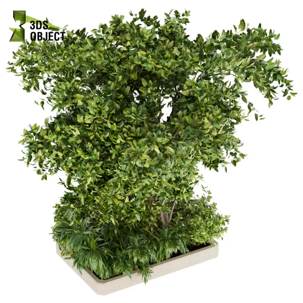 3d garden plant models botanical Visualization Landscape Foliage Vegetation Rendering Environment tree Design high poly Bush tree grass hamedorea indoor bush houseplant flowerpot outdoor street garden 3D Plant Creation Virtual Garden Design Botanical Simulation Plant Visualization Vegetation Modeling cinema 4d 3ds max blender enscpae fbx obj Rhino Sketchup lumion