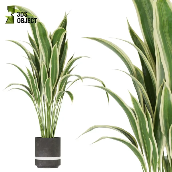 3d model plant pot free arboricola Schefflera aspidistra banana leaf