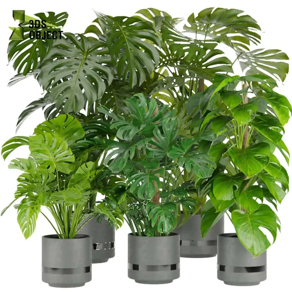 3d model plant pot free Monstera Deliciosa Madison, Collection indoor planter hamedorea architecturevisualization