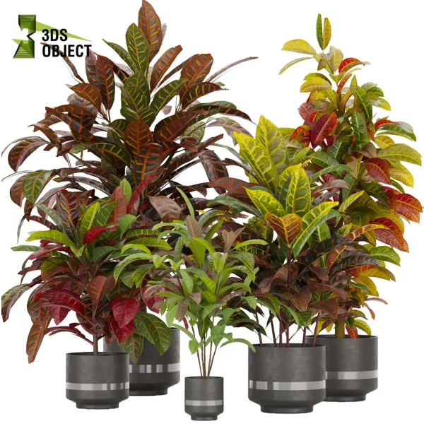3d model plant pot free Croton Euphorbiaceae Crotonoideae Crotoneae planter architectural3D cinema 4d 3ds max blender enscpae fbx obj