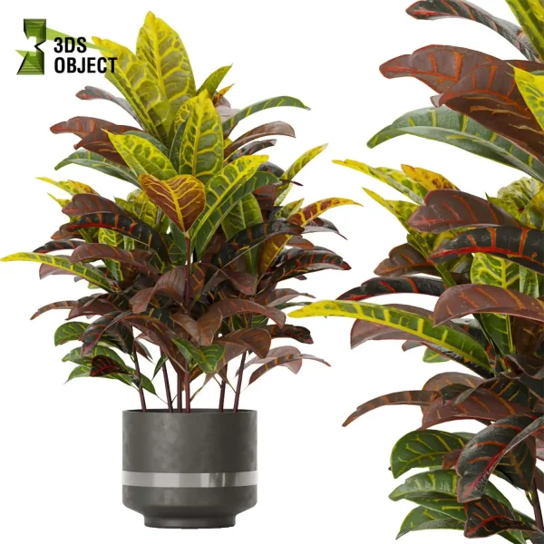 3d model plant pot free Croton Euphorbiaceae Crotonoideae Crotoneae planter architectural3D cinema 4d 3ds max blender enscpae fbx obj
