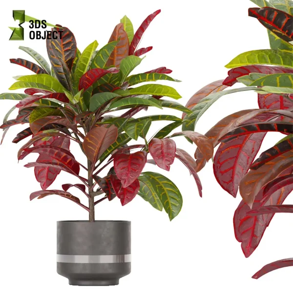 3d model plant pot free Croton Euphorbiaceae Crotonoideae Crotoneae planter architectural3D cinema 4d 3ds max blender enscpae fbx obj