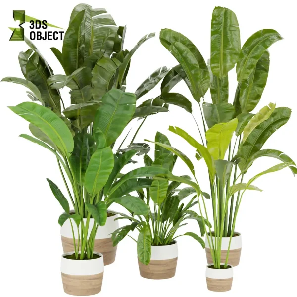 3d model plant pot free Banana, Care, leaves vegetation modeling tool architectural3D landscape