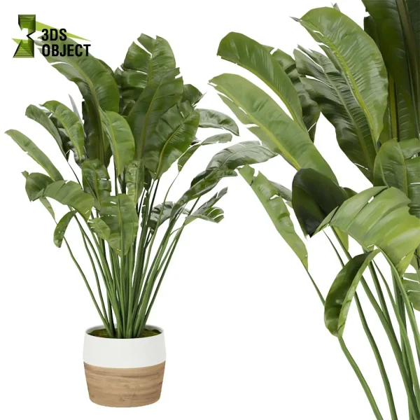 3d model plant pot free Banana, Care, leaves vegetation modeling tool architectural3D landscape