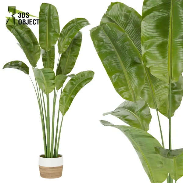 3d model plant pot free Banana, Care, leaves vegetation modeling tool architectural3D landscape