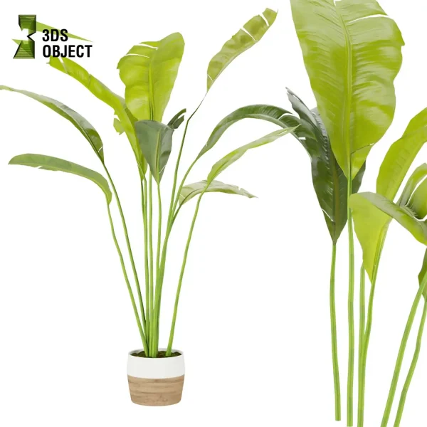 3d model plant pot free Banana, Care, leaves vegetation modeling tool architectural3D landscape