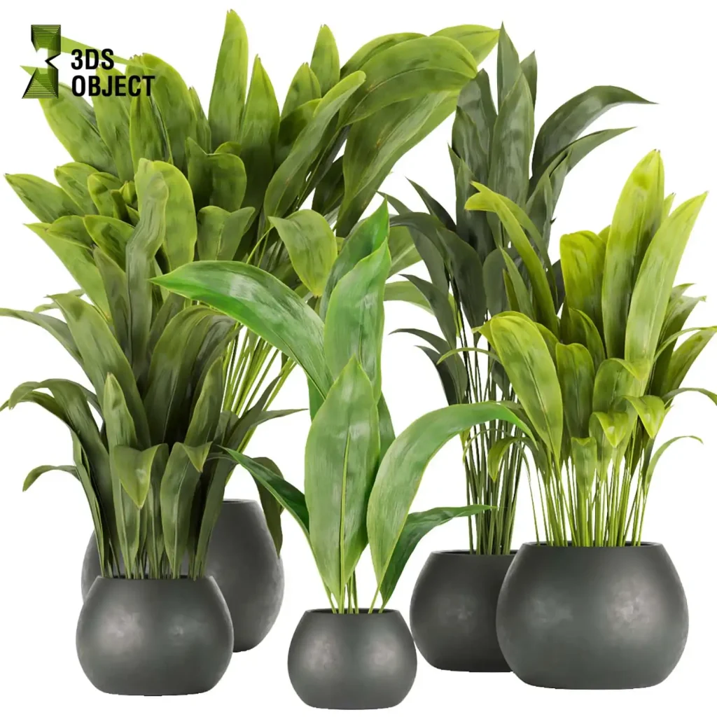 Enscape plant models
