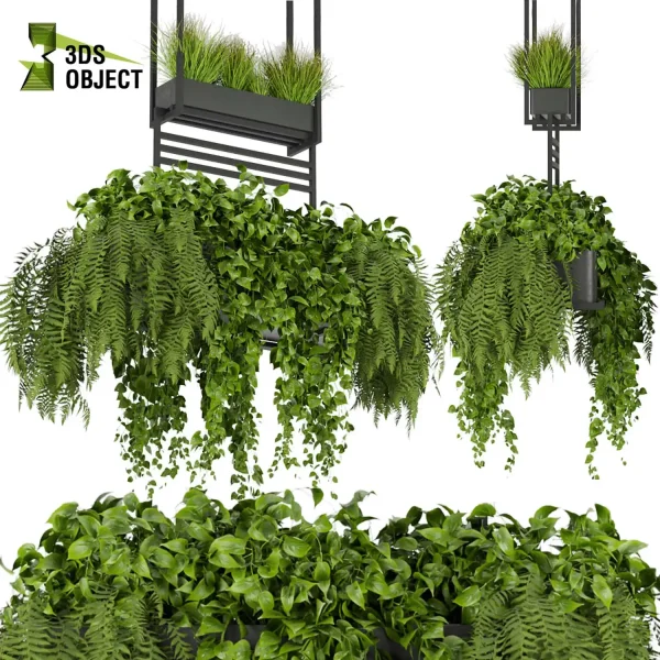 3d model plant hanging free Botanical Models Pothos fern grass 3dmodeling Hanging Plant Generator 3D architectural visualization fbx obj Rhino Sketchup lumion purchase