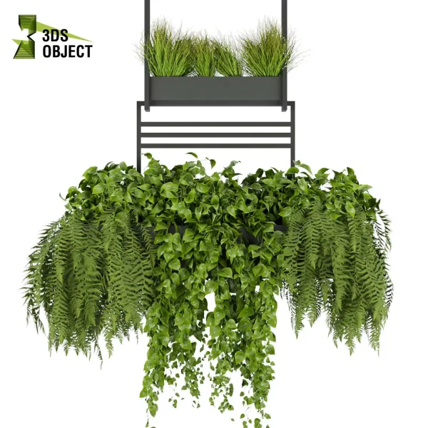 3d model plant hanging free Botanical Models Pothos fern grass 3dmodeling Hanging Plant Generator 3D architectural visualization fbx obj Rhino Sketchup lumion purchase