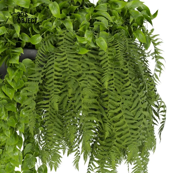 3d model plant hanging free Botanical Models Pothos fern grass 3dmodeling Hanging Plant Generator 3D architectural visualization fbx obj Rhino Sketchup lumion