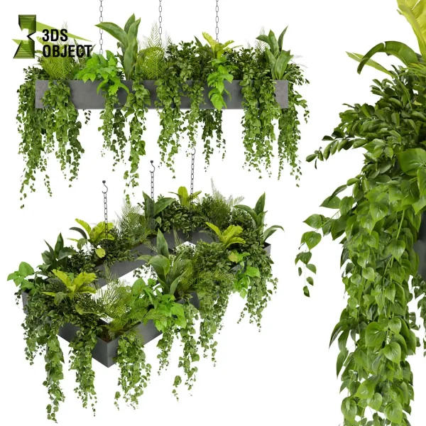 Banana pothos palm bird of paradise 3drendering interior design purchase 3D Hanging Vegetation Hanging Plant Models Rendering architectural visualization cinema 4d 3ds max blender enscpae fbx obj Rhino Sketchup lumion