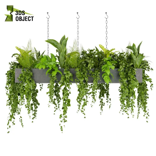 Banana pothos palm bird of paradise 3drendering interior design purchase 3D Hanging Vegetation Hanging Plant Models Rendering architectural visualization cinema 4d 3ds max blender enscpae fbx obj Rhino Sketchup lumion