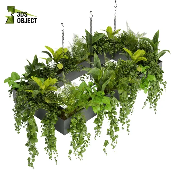 Banana pothos palm bird of paradise 3drendering interior design purchase 3D Hanging Vegetation Hanging Plant Models Rendering architectural visualization cinema 4d 3ds max blender enscpae fbx obj Rhino Sketchup lumion