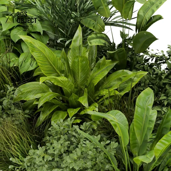 3d garden plant models botanical Visualization Landscape Foliage Vegetation Rendering Environment tree Design high poly monstera banana palm grass bush Foliage Rendering Digital Landscaping 3D Plant Creation Virtual Garden Design Botanical Simulation Plant Visualization Vegetation Modeling cinema 4d 3ds max blender enscpae fbx obj Rhino Sketchup lumion 3D architectural visualization