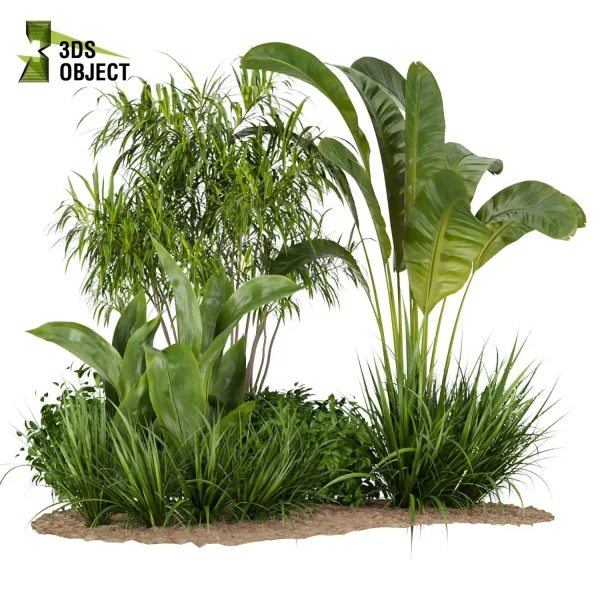 3d garden plant models botanical Visualization Landscape Foliage Vegetation Rendering Environment tree Design high poly bush bird of paradise banana grass 3D Garden Design Forest Simulation 3D Tree Generator Landscape Design Software Foliage Rendering Digital Landscaping planter pot greenhouse balcony decorative architectural visualization cinema 4d 3ds max blender enscpae fbx obj Rhino Sketchup lumion