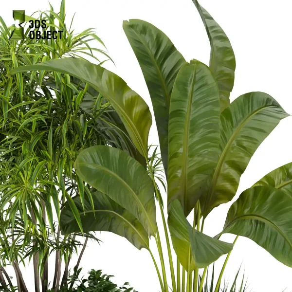 3d garden plant models botanical Visualization Landscape Foliage Vegetation Rendering Environment tree Design high poly bush bird of paradise banana grass 3D Garden Design Forest Simulation 3D Tree Generator Landscape Design Software Foliage Rendering Digital Landscaping planter pot greenhouse balcony decorative architectural visualization cinema 4d 3ds max blender enscpae fbx obj Rhino Sketchup lumion