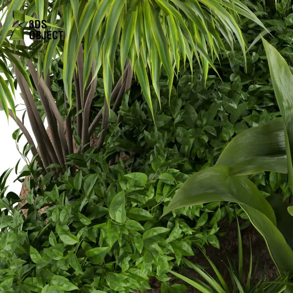 3d garden plant models botanical Visualization Landscape Foliage Vegetation Rendering Environment tree Design high poly bush bird of paradise banana grass 3D Garden Design Forest Simulation 3D Tree Generator Landscape Design Software Foliage Rendering Digital Landscaping planter pot greenhouse balcony decorative architectural visualization cinema 4d 3ds max blender enscpae fbx obj Rhino Sketchup lumion