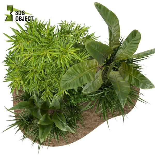 3d garden plant models botanical Visualization Landscape Foliage Vegetation Rendering Environment tree Design high poly bush bird of paradise banana grass 3D Garden Design Forest Simulation 3D Tree Generator Landscape Design Software Foliage Rendering Digital Landscaping planter pot greenhouse balcony decorative architectural visualization cinema 4d 3ds max blender enscpae fbx obj Rhino Sketchup lumion