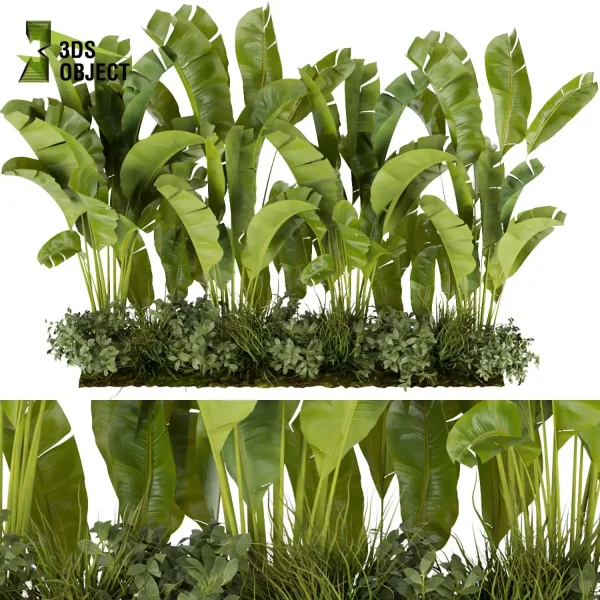 3d garden plant models botanical Visualization Landscape Foliage Vegetation Rendering Environment tree Design high poly Bush banana grass vegetation modeling tool botanical architecture simulator 3D architectural visualization cinema 4d 3ds max blender enscpae fbx obj Rhino Sketchup lumion
