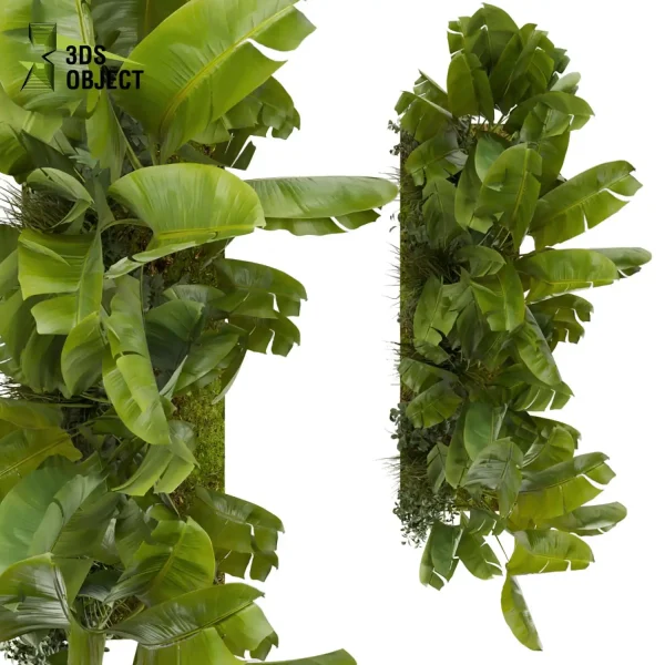 3d garden plant models botanical Visualization Landscape Foliage Vegetation Rendering Environment tree Design high poly Bush banana grass vegetation modeling tool botanical architecture simulator 3D architectural visualization cinema 4d 3ds max blender enscpae fbx obj Rhino Sketchup lumion