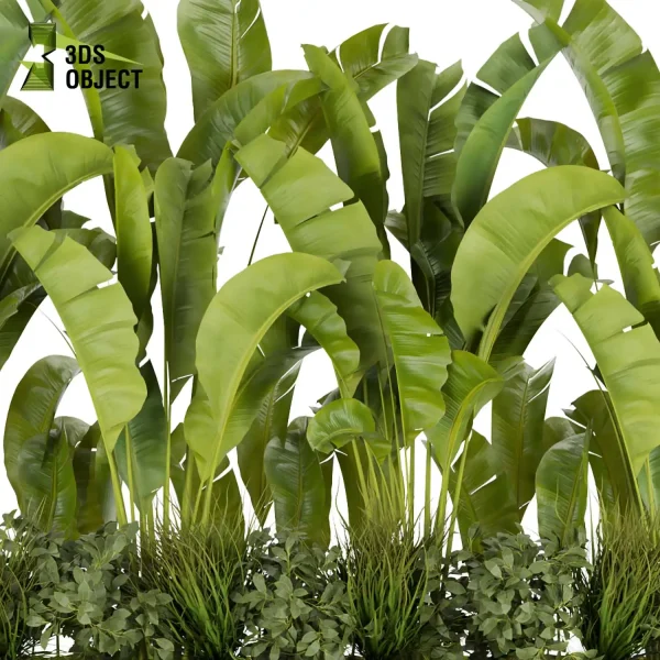 3d garden plant models botanical Visualization Landscape Foliage Vegetation Rendering Environment tree Design high poly Bush banana grass vegetation modeling tool botanical architecture simulator 3D architectural visualization cinema 4d 3ds max blender enscpae fbx obj Rhino Sketchup lumion