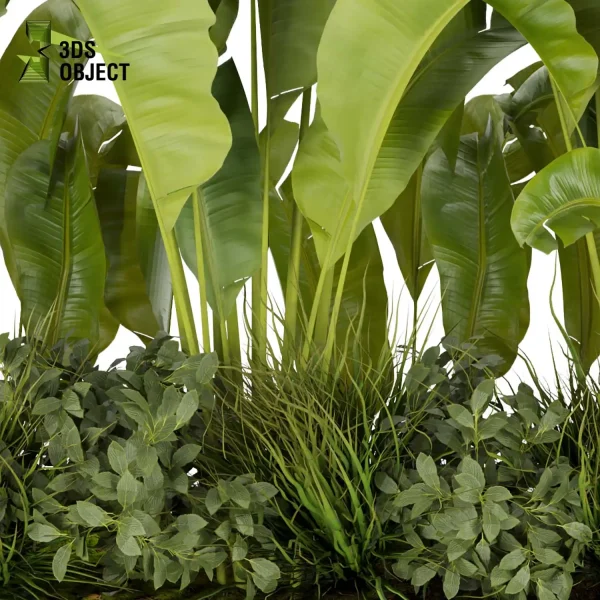 3d garden plant models botanical Visualization Landscape Foliage Vegetation Rendering Environment tree Design high poly Bush banana grass vegetation modeling tool botanical architecture simulator 3D architectural visualization cinema 4d 3ds max blender enscpae fbx obj Rhino Sketchup lumion