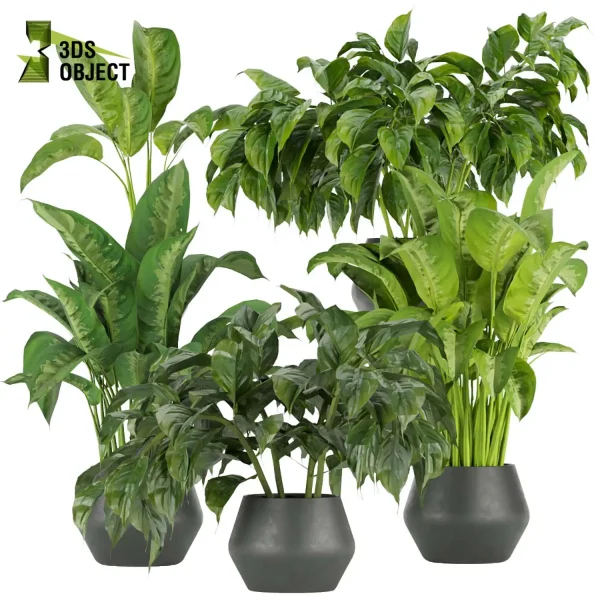 3d model plant pot free Aglaoneama greenhouse vegetation modeling tool architectural3D cinema 4d 3ds max blender enscpae
