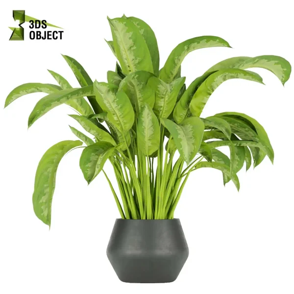 3d model plant pot free Aglaoneama greenhouse vegetation modeling tool architectural3D cinema 4d 3ds max blender enscpae