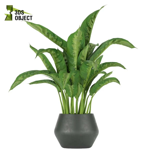 3d model plant pot free Aglaoneama greenhouse vegetation modeling tool architectural3D cinema 4d 3ds max blender enscpae