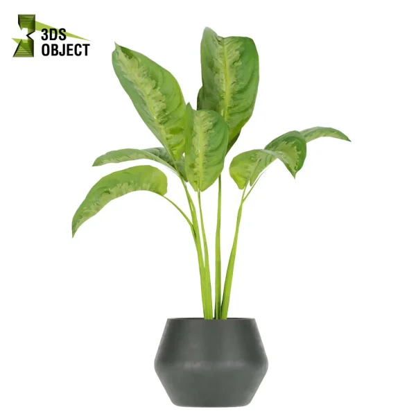 3d model plant pot free Aglaoneama greenhouse vegetation modeling tool architectural3D cinema 4d 3ds max blender enscpae