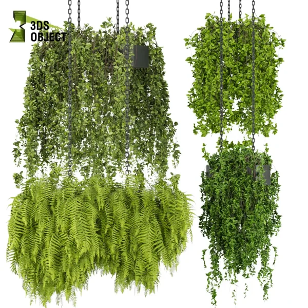 3d model plant hanging free Botanical Models Bush fern Plant Design Software Rendering Library r enscpae fbx obj Rhino Sketchup lumion