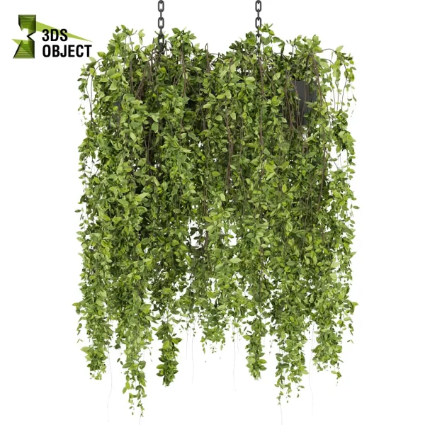 3d model plant hanging free Botanical Models Bush fern Plant Design Software Rendering Library r enscpae fbx obj Rhino Sketchup lumion