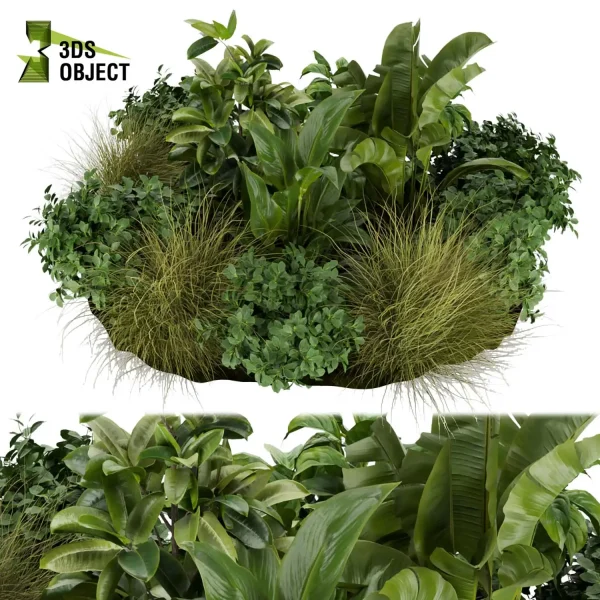 3d garden plant models botanical Visualization Landscape Foliage Vegetation Rendering Environment tree Design high poly bush corton banana peace lily grass cinema 4d 3ds max blender enscpae fbx obj Rhino Sketchup lumion