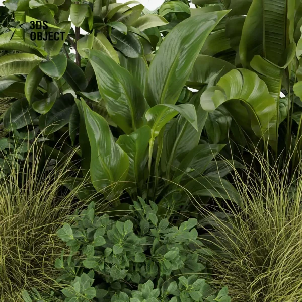 3d garden plant models botanical Visualization Landscape Foliage Vegetation Rendering Environment tree Design high poly bush corton banana peace lily grass cinema 4d 3ds max blender enscpae fbx obj Rhino Sketchup lumion