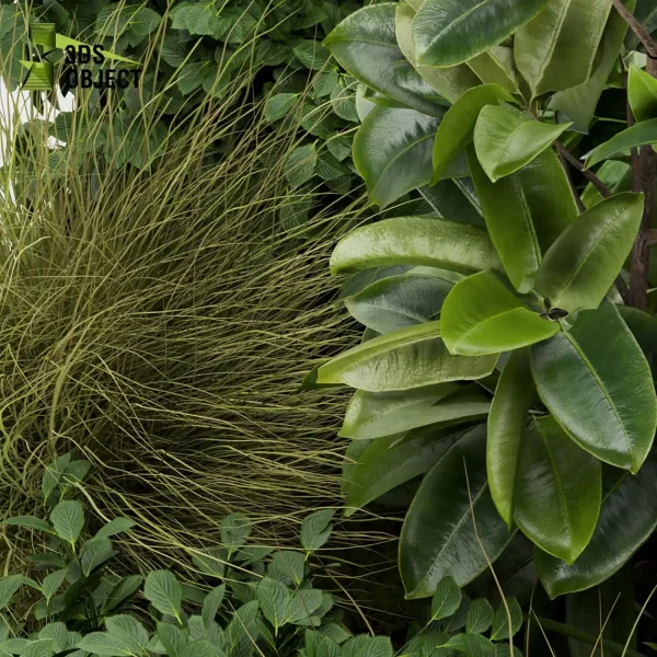 3d garden plant models botanical Visualization Landscape Foliage Vegetation Rendering Environment tree Design high poly bush corton banana peace lily grass cinema 4d 3ds max blender enscpae fbx obj Rhino Sketchup lumion