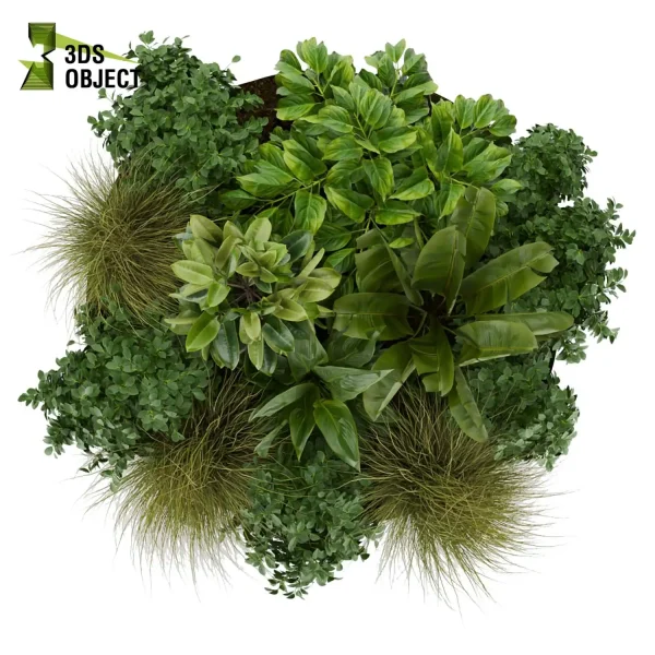 3d garden plant models botanical Visualization Landscape Foliage Vegetation Rendering Environment tree Design high poly bush corton banana peace lily grass cinema 4d 3ds max blender enscpae fbx obj Rhino Sketchup lumion