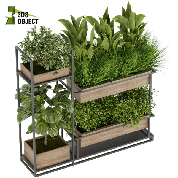 3d model plant free Vegetation tree box Foliage Bird of paradise fiddle grass bush 3D Hanging Vegetation Plant Models Foliage Assets Botanical Models Greenery Assets Flora Objects Vine Models Garden Assets Plant Generator Vegetation Rendering cinema 4d 3ds max blender enscape fbx obj Rhino Sketchup lumion