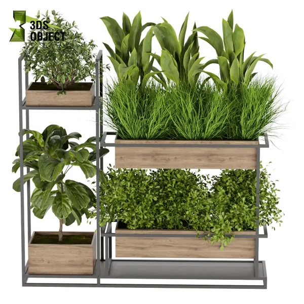 3d model plant free Vegetation tree box Foliage Bird of paradise fiddle grass bush 3D Hanging Vegetation Plant Models Foliage Assets Botanical Models Greenery Assets Flora Objects Vine Models Garden Assets Plant Generator Vegetation Rendering cinema 4d 3ds max blender enscape fbx obj Rhino Sketchup lumion