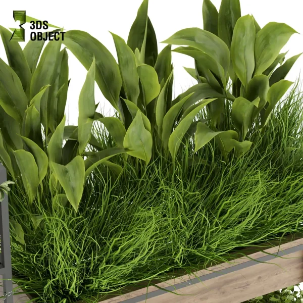 3d model plant free Vegetation tree box Foliage Bird of paradise fiddle grass bush 3D Hanging Vegetation Plant Models Foliage Assets Botanical Models Greenery Assets Flora Objects Vine Models Garden Assets Plant Generator Vegetation Rendering cinema 4d 3ds max blender enscape fbx obj Rhino Sketchup lumion