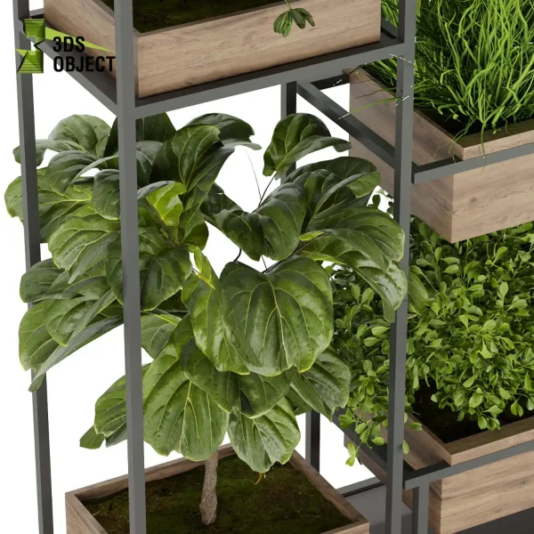 3d model plant free Vegetation tree box Foliage Bird of paradise fiddle grass bush 3D Hanging Vegetation Plant Models Foliage Assets Botanical Models Greenery Assets Flora Objects Vine Models Garden Assets Plant Generator Vegetation Rendering cinema 4d 3ds max blender enscape fbx obj Rhino Sketchup lumion