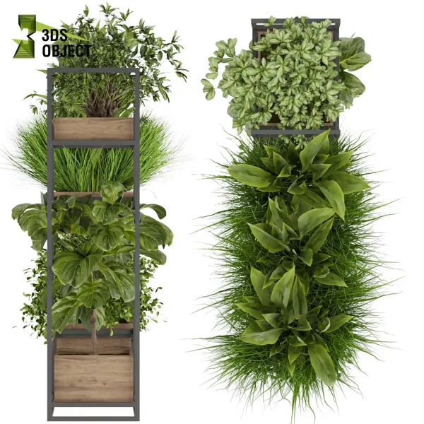 3d model plant free Vegetation tree box Foliage Bird of paradise fiddle grass bush 3D Hanging Vegetation Plant Models Foliage Assets Botanical Models Greenery Assets Flora Objects Vine Models Garden Assets Plant Generator Vegetation Rendering cinema 4d 3ds max blender enscape fbx obj Rhino Sketchup lumion