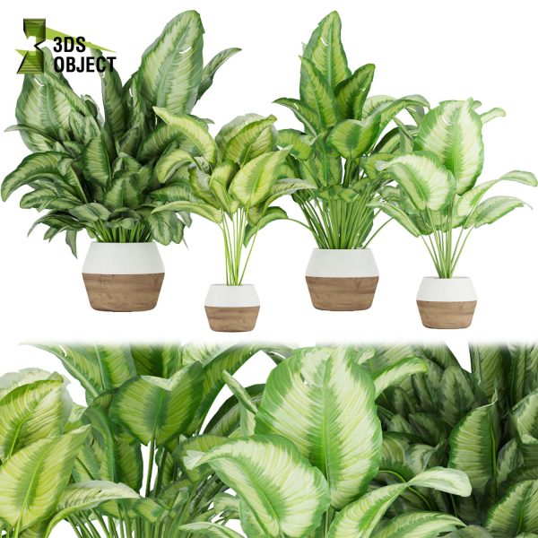 3d model plant pot free Aglaonema commutatum virtualdesign 3D architectural visualization