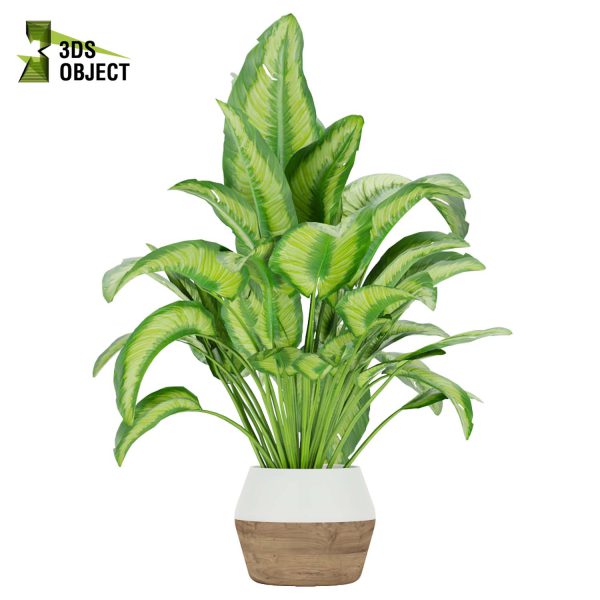 3d model plant pot free Aglaonema commutatum virtualdesign 3D architectural visualization