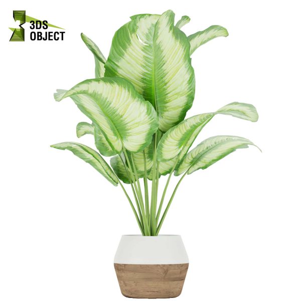 3d model plant pot free Aglaonema commutatum virtualdesign 3D architectural visualization