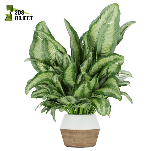 3d model plant pot free Aglaonema commutatum virtualdesign 3D architectural visualization