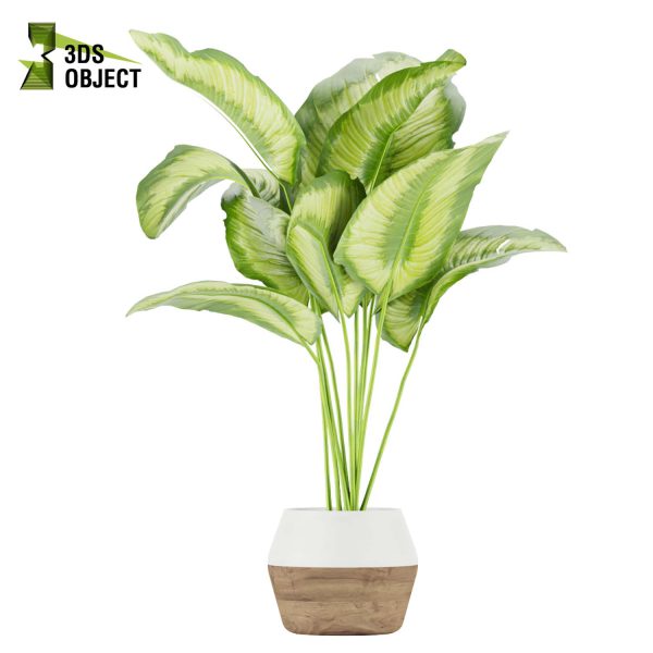 3d model plant pot free Aglaonema commutatum virtualdesign 3D architectural visualization