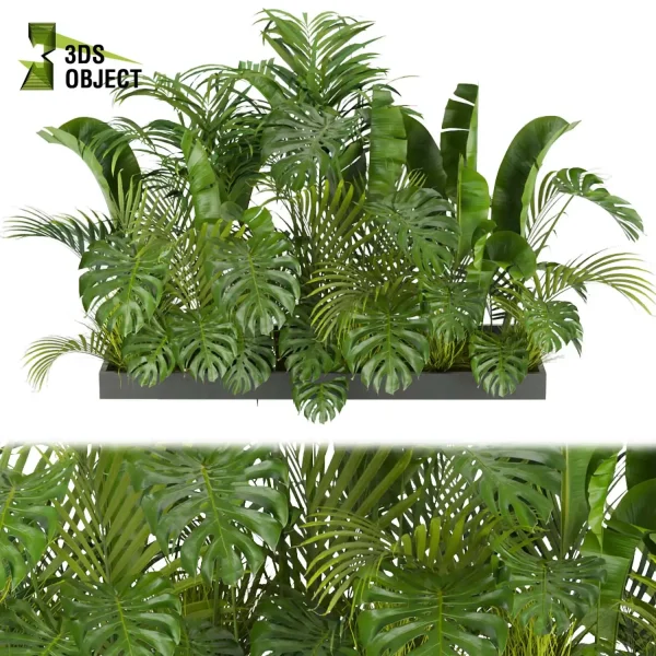 3d garden plant models botanical Visualization Landscape Foliage Vegetation Rendering Environment tree Design high poly Monstera banana palm decorative hamedorea indoor bush houseplant flowerpot cinema 4d 3ds max blender enscpae fbx obj Rhino Sketchup lumion