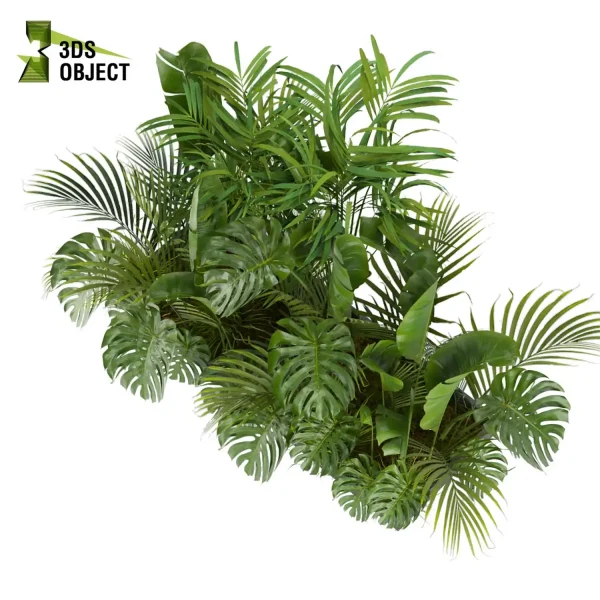 3d garden plant models botanical Visualization Landscape Foliage Vegetation Rendering Environment tree Design high poly Monstera banana palm decorative hamedorea indoor bush houseplant flowerpot cinema 4d 3ds max blender enscpae fbx obj Rhino Sketchup lumion