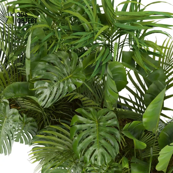 3d garden plant models botanical Visualization Landscape Foliage Vegetation Rendering Environment tree Design high poly Monstera banana palm decorative hamedorea indoor bush houseplant flowerpot cinema 4d 3ds max blender enscpae fbx obj Rhino Sketchup lumion